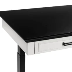 47" Losondo Transitional Height Adjustable Desk With USB Ports - HOMES: Inside + Out -Cheap Homes Inside Out Store GUEST 0180c78e 955b 4879 bee3 730be90986ca