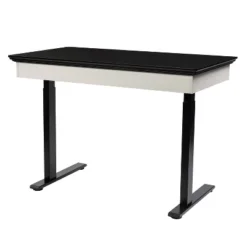 47" Losondo Transitional Height Adjustable Desk With USB Ports - HOMES: Inside + Out -Cheap Homes Inside Out Store GUEST a8a19656 062a 46a2 846c b0c21cd7352a